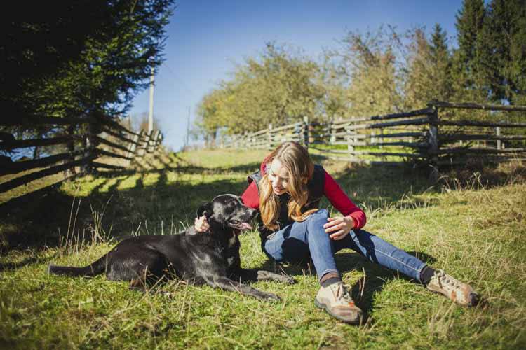 How to Keep Your Dog Happy in the Heat