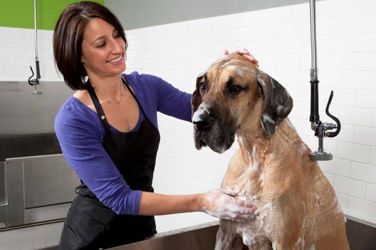 Grooming Smocks