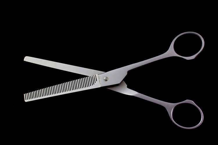 Selecting and Caring for Grooming Shears