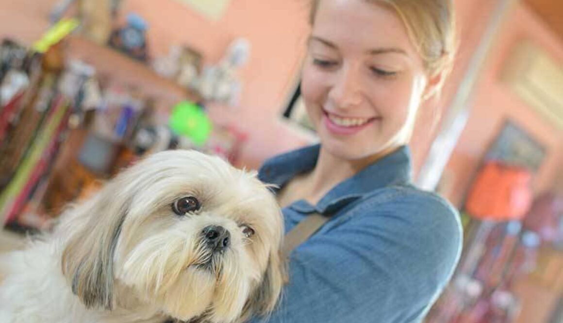 What Do Pet Groomers Do?