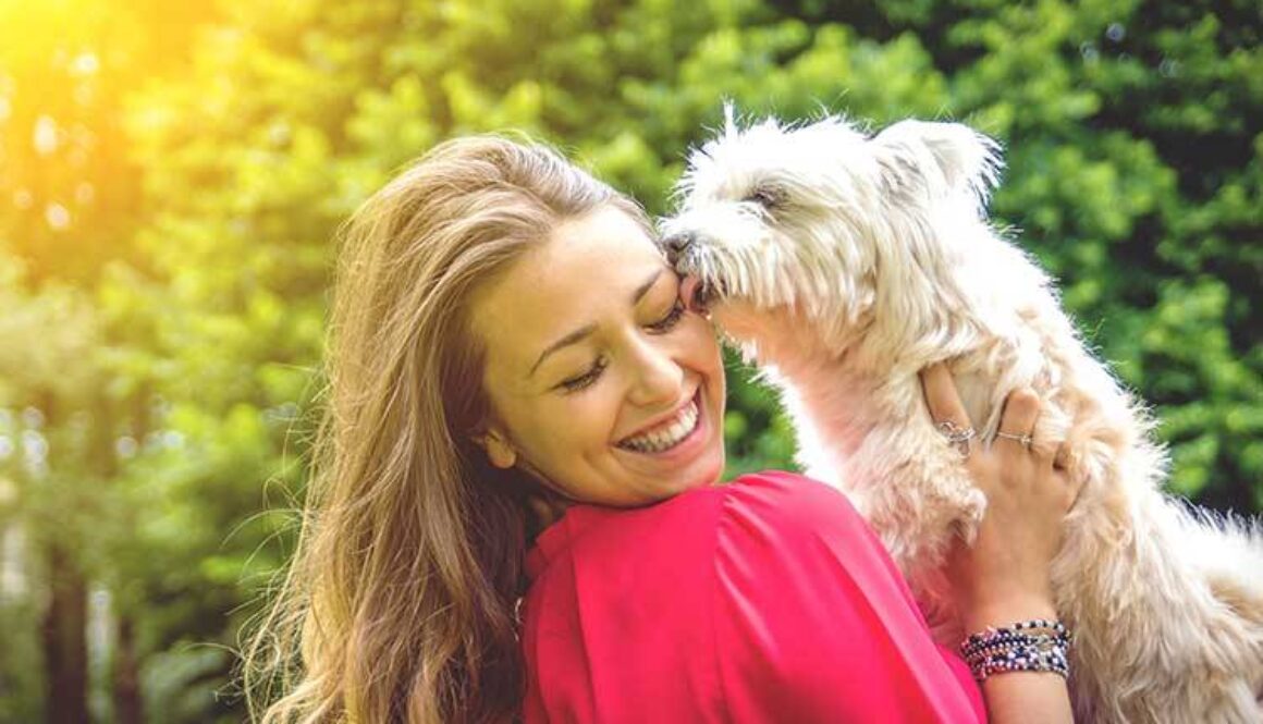 Why You Should Become an Animal Trainer