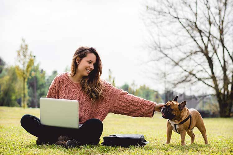 Online Classes: An Easy Way to Gain Pet Career Skills