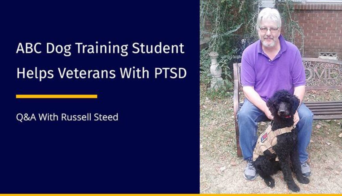 Veteran Embarks on New Career Training Service Dogs