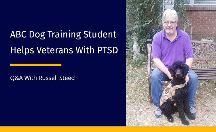 Veteran Embarks on New Career Training Service Dogs