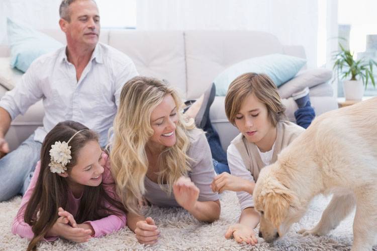 Finding a Good Dog Breeder