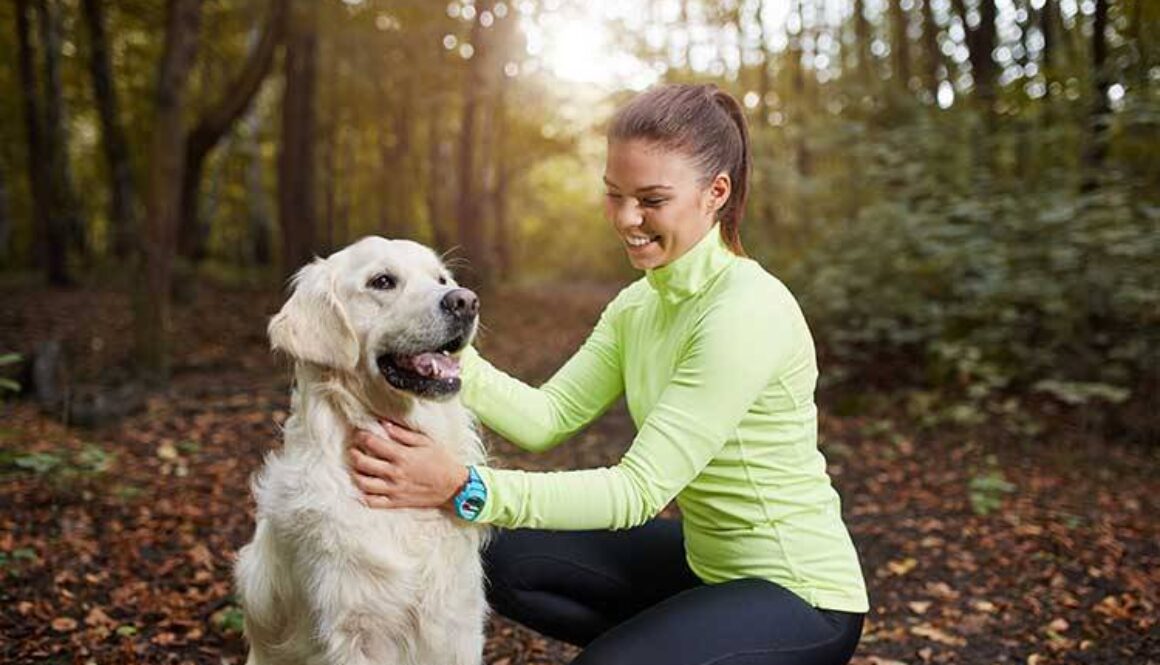 How To Greet A Dog For The First Time