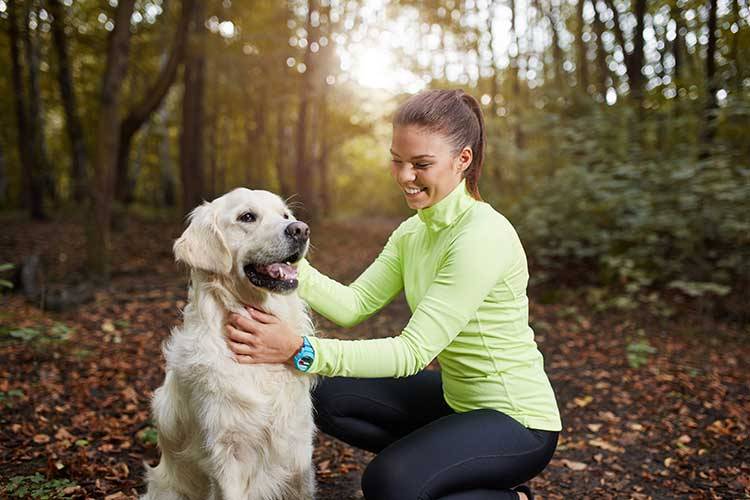 How To Greet A Dog For The First Time