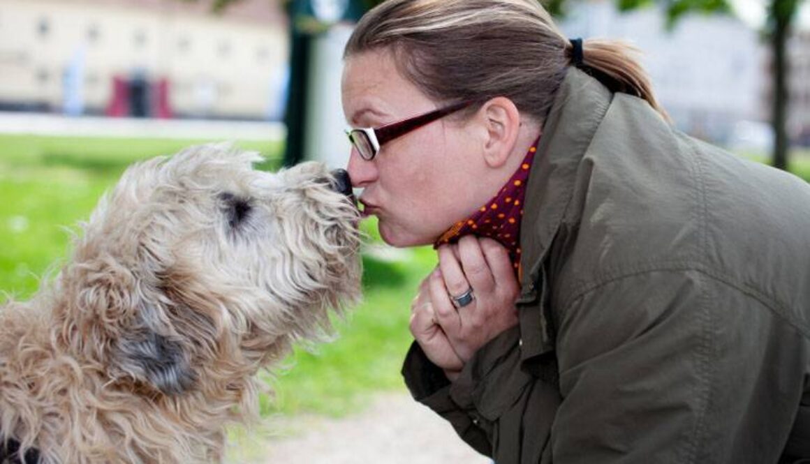 Training Your Dog to Give Kisses