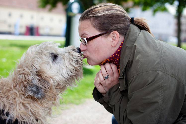 Training Your Dog to Give Kisses