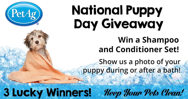 National Puppy Day Giveaway