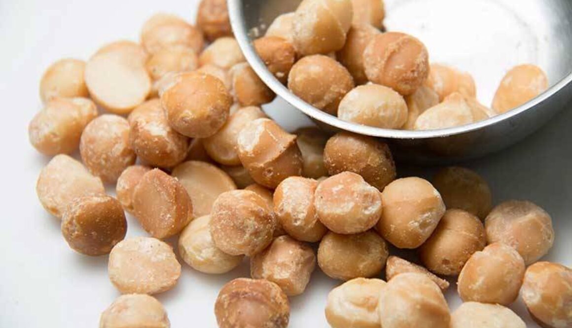 Macadamia Nuts and Dogs