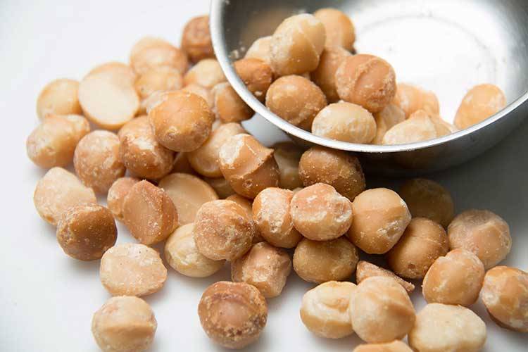 Macadamia Nuts and Dogs