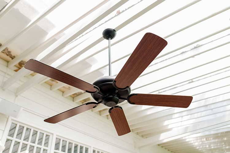 Help! My Dog Is Scared Of A Ceiling Fan