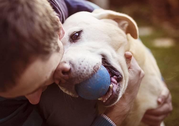 Man and dog