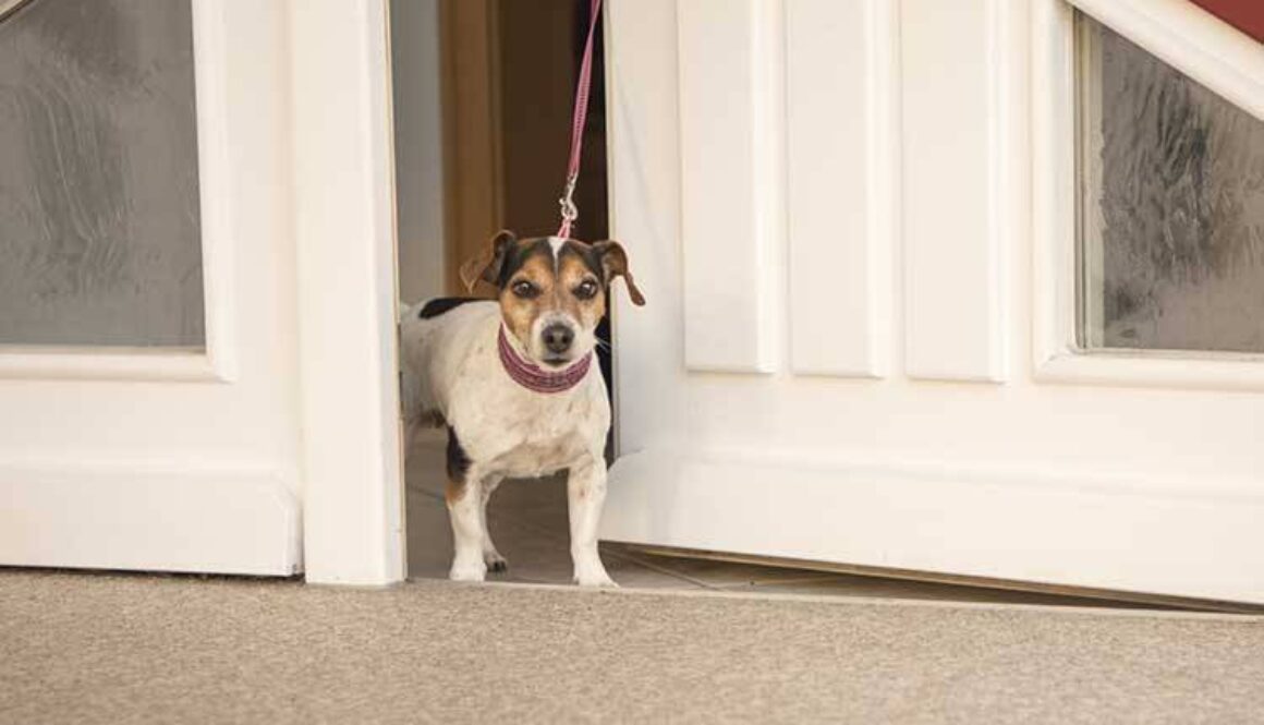 Who Should Walk Through The Door First?