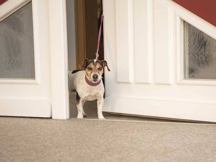Who Should Walk Through The Door First?