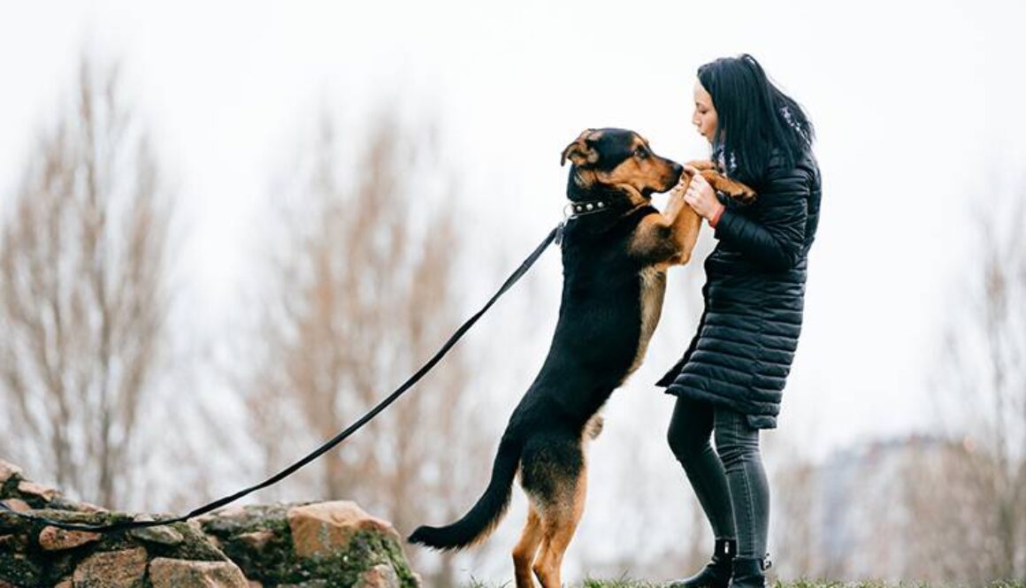 Does Ignoring Bad Dog Behavior Work?