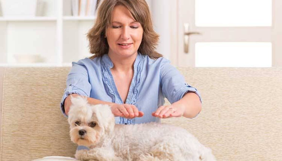 Reiki for Dogs