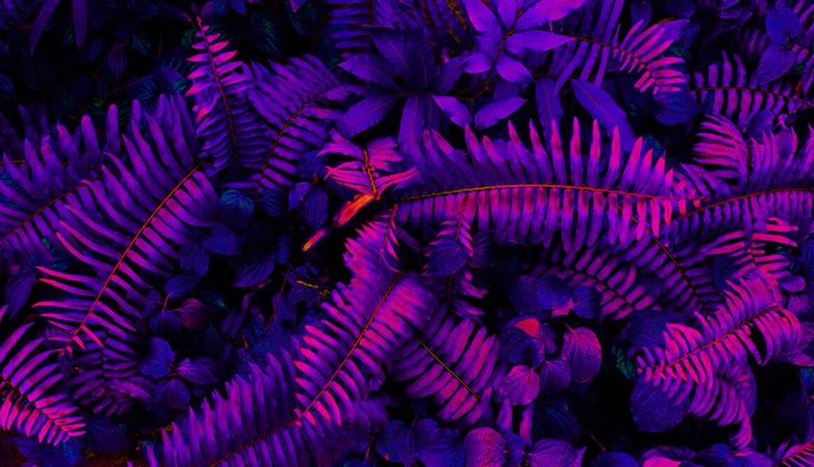 Tropical black light glowing leaves.