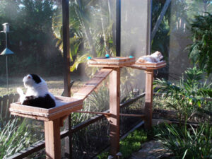 Patio Enclosure Patio Enclosure