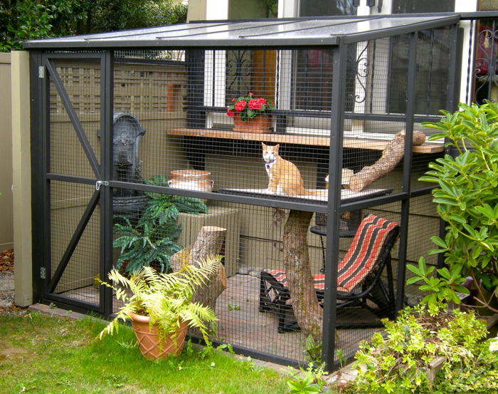 BackyardSafety-FI