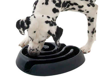 Buster DogMaze Bowl Buster DogMaze Bowl