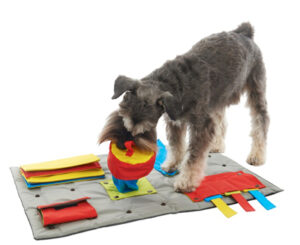 Buster Activity Mat