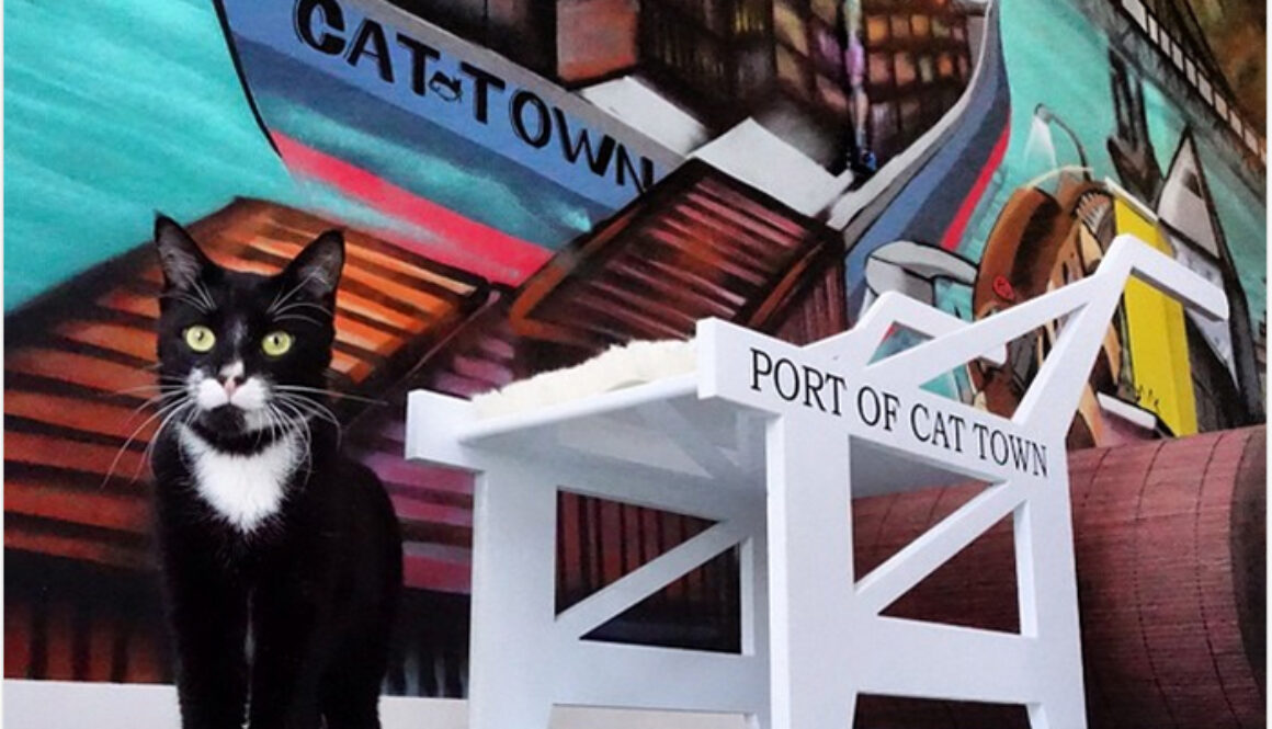 Cat-Town-Cafe-Oakland-FI
