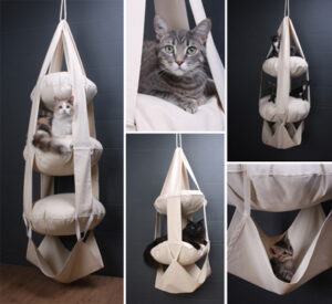 Cat’s Trapeze Cat’s Trapeze