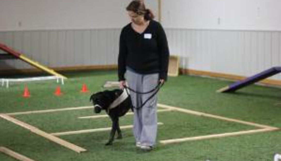 DOP-CAN-Hamilton-Tracy-SOM-pic