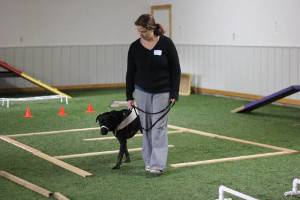 DOP-CAN-Hamilton-Tracy-SOM-pic