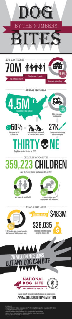 DogBiteInfographic