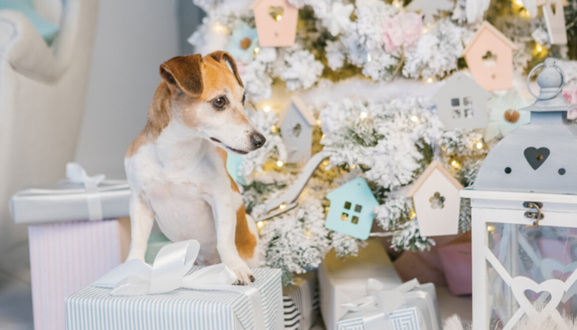 DogGiftGuide-FI