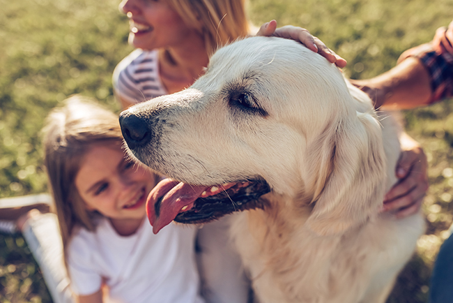 Happy family with dog
