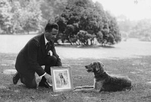 Warren G. Harding's Airedale Laddie Boy Warren G. Harding Airedale Laddie Boy