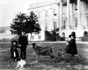 President Benjamin Harrison with His Pet Goat "Old Whiskers" President Benjamin Harrison Pet Goat "Old Whiskers"