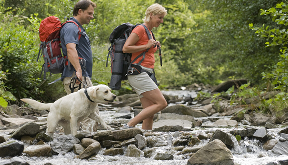 Crossing through river