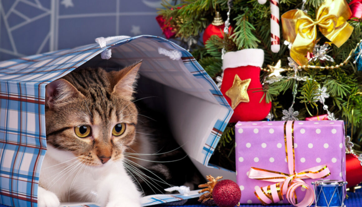 HolidayBuyersGuide-Cat-FI-1