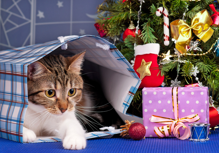HolidayBuyersGuide-Cat-FI-1