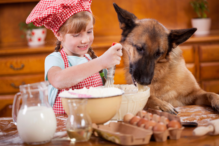 HomemadeDogTreats-FI