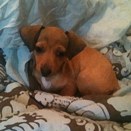 Choosing a dog painting