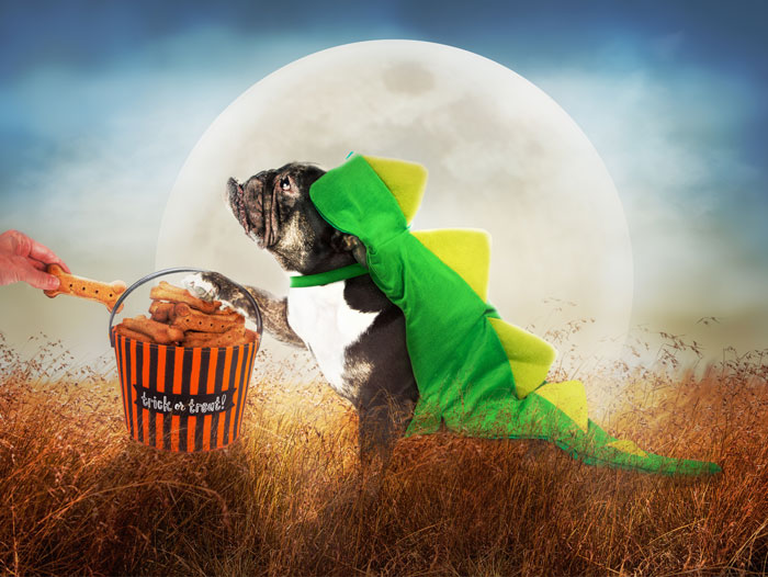 Howloween-FI