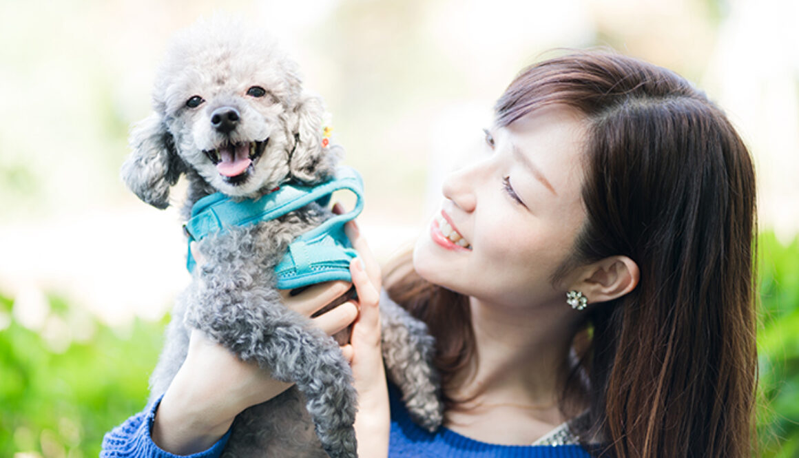 犬の散歩、女性、ベンチ