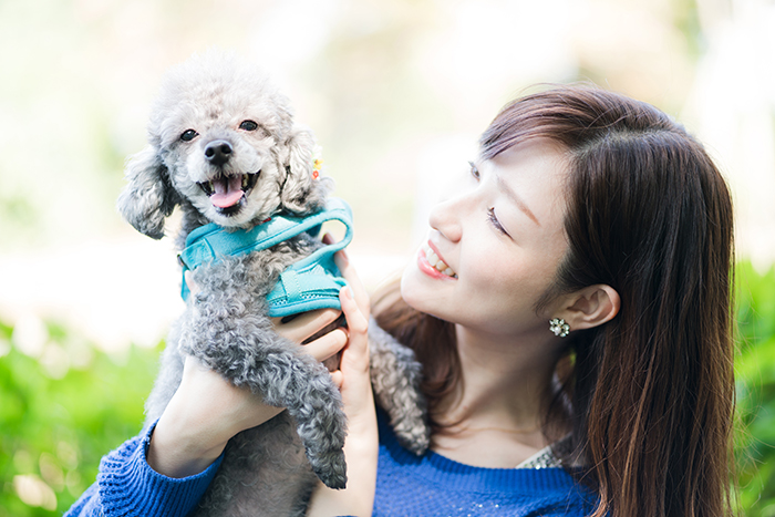 犬の散歩、女性、ベンチ