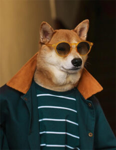Menswear Dog
