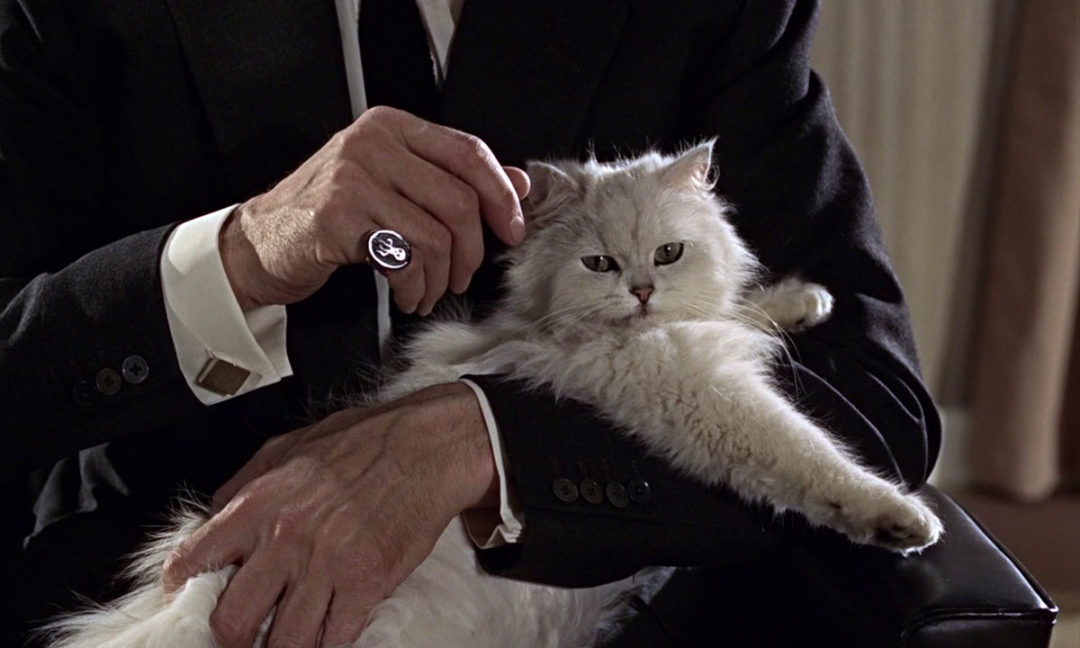 JamesBondCat-F1