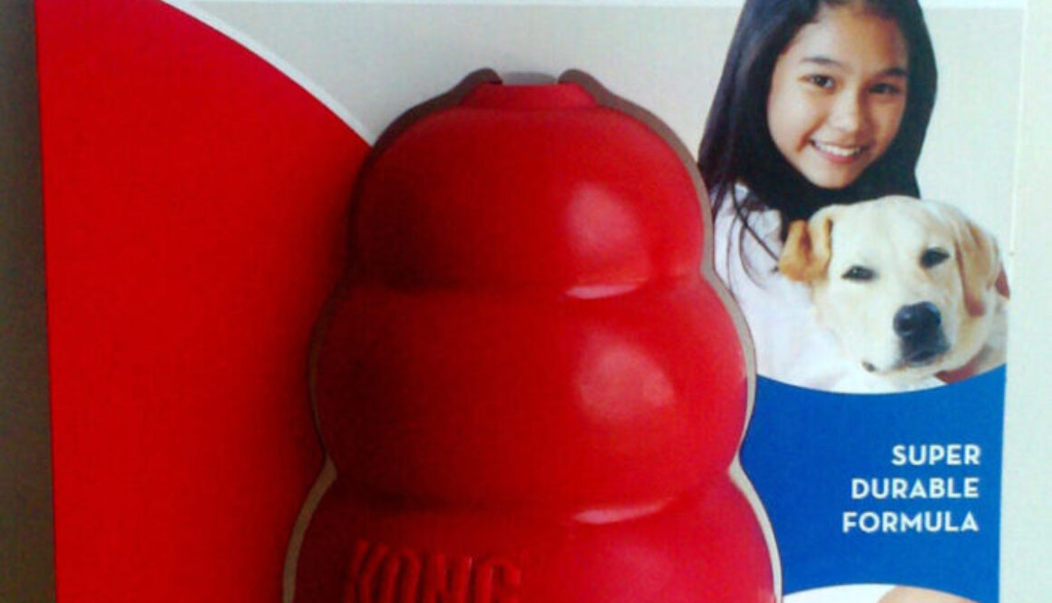 Kong Dog Toy - Front