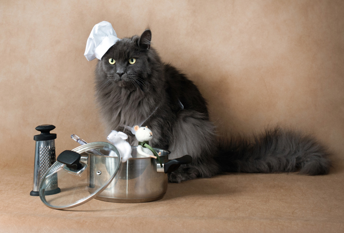 MakeCatTreats-FI