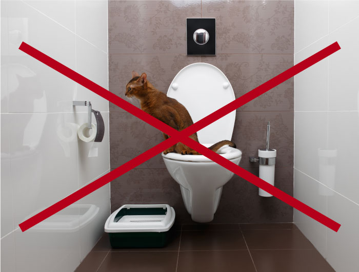 No-Toilet-Training-FI