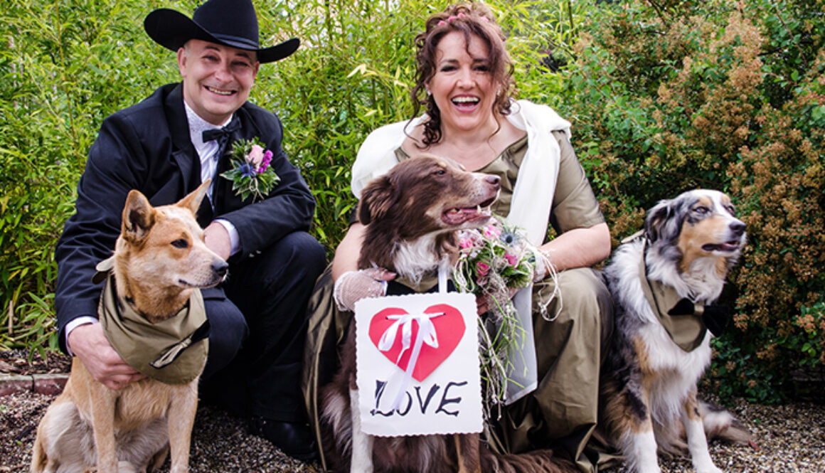 Hochzeit: glckliches Paar mit Hunden :)